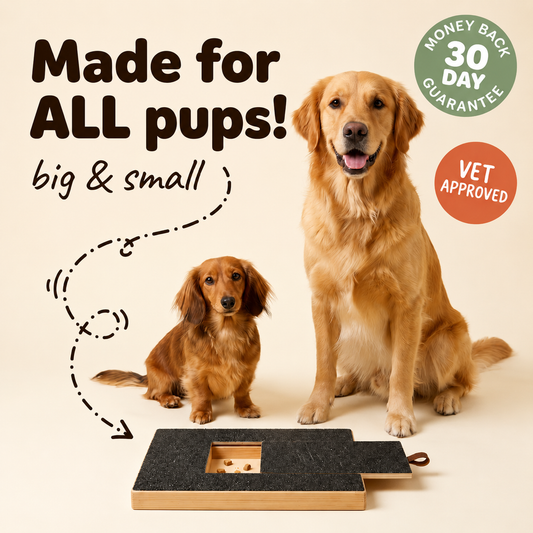 CalmPaws™ Nail Board
